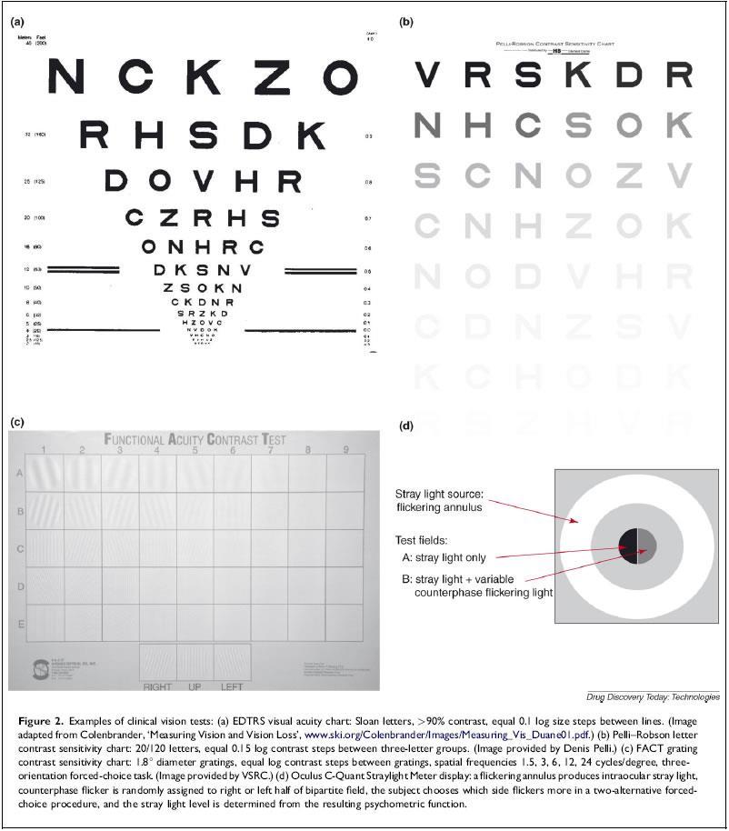 Kontrast Ocena czułości na kontrast 16 B. Drum, D. Calogero and E.