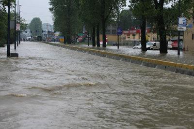 miast prowadzi do zmian w obiegu wody w zlewni oraz w ekosystemach.