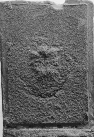 długość 14 [ mm], szerokość 7,5 [mm]. a b Rys. 4.