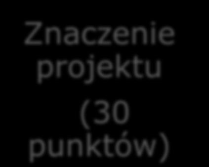 Znaczenie projektu (30