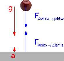 Wykład 6 : Pole grawitacyjne. Pole elektrostatyczne.