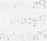 zam. 196/95