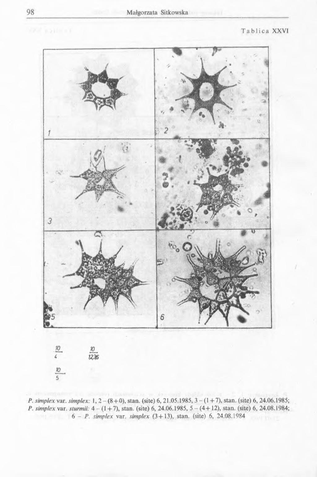 Tablica XXVI % ; f - " " # ; 1 2 * ^ ' * % 3 '» * i t l + LO, 5 P. simplex var. simplex: 1, 2 - ( 8 + 0), stan. (site) 6, 21.05.1985, 3 - (1+ 7), stan. (site) 6, 24.06.