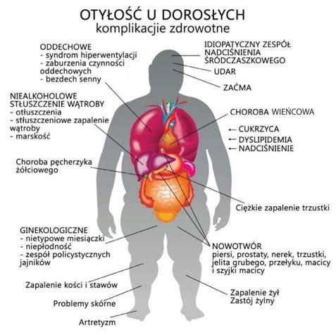 Stres Tempo życia, rywalizacja zawodowa, potrzeba zapewnienia bytu rodzinie i posiadania coraz większej liczby przedmiotów to wszystko sprawia, że żyjemy w coraz większym stresie.