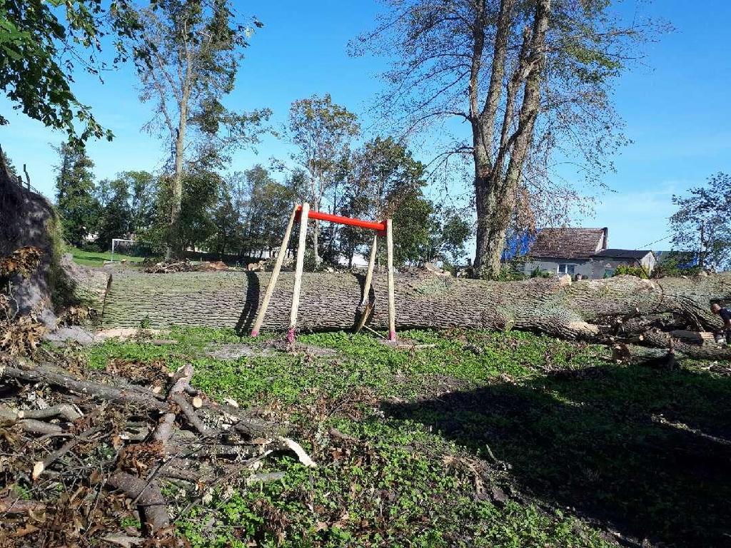 Łódzcy strażacy ochotnicy, z 8 jednostek; OSP Łódź-Mikołajew, OSP Łódź-Retkinia, OSP Łódź-Mileszki, OSP Łódź-Sikawa, OSP Łódź-Wiączyń, OSP Łódź-Łaskowice, OSP Łódź-Wiskitno oraz OSP Oddział