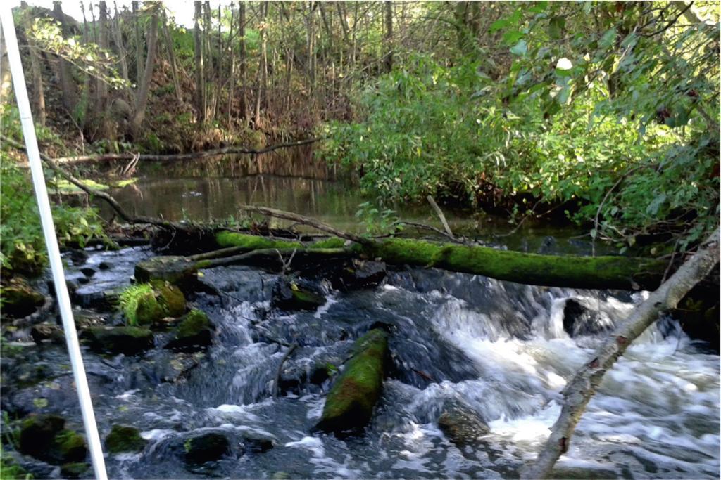Stan hydromorfologiczny górnego odcinka rzeki Ner w świetle zastosowania metody River Habitat Survey (RHS) 4.2.