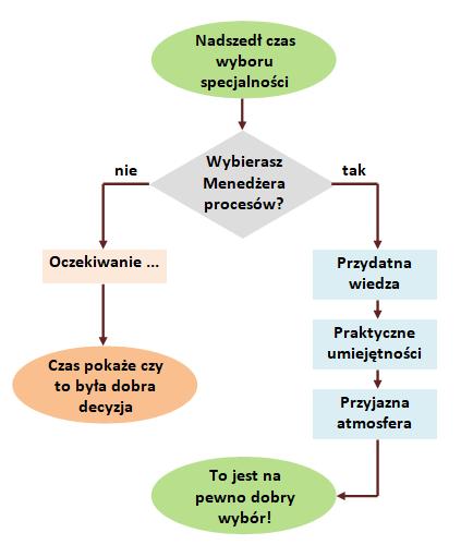 kierownika komórki audytu procesów, menedżera