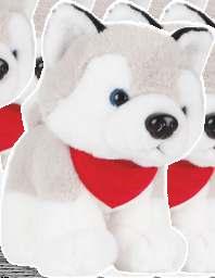 oddzielnie) Husky dog with red