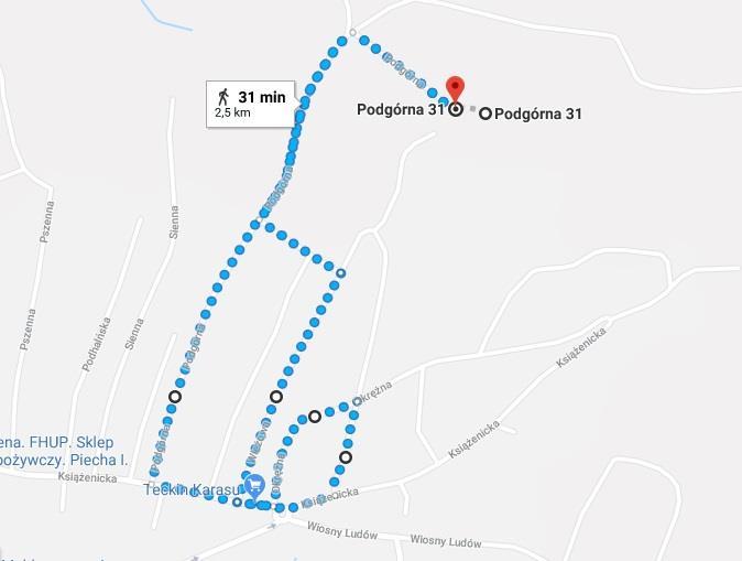 3. Trasa Biegu w kategorii od 13 do 16 lat liczy ok. 2,5 km i biegnie drogami utwardzonymi. Trasa nie posiada atestu.