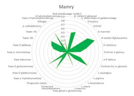 Skutki eutrofizacji wód Niekorzystne zmiany w mikrobiocenozie: zmniejszenie