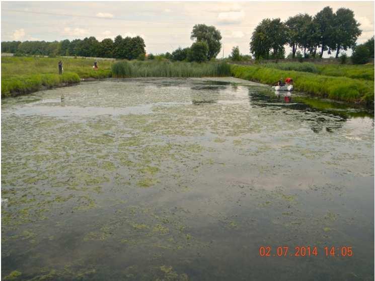 Czy bioremediacja mikrobiologiczna jest