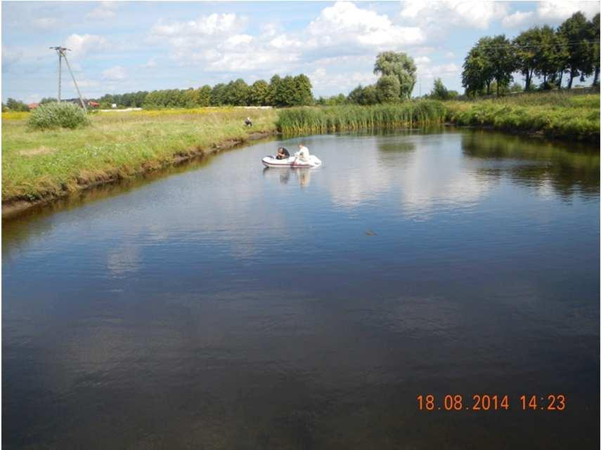 Staw kolmatacyjny w Radomiu (2014) Przed