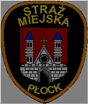 zainstalowanego i uruchomionego, systemu monitoringu wizyjnego miasta Płocka, składającego się z 115 punktów kamerowych.