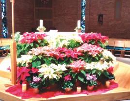 FLOWER DONATIONS FOR CHRISTMAS Our church looked spectacular this Christmas season! Thank you to all who donated for the Christmas flowers. Nasz kościół wygłądał wspaniale przez ten okres świąteczny.