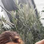 rozm. S -