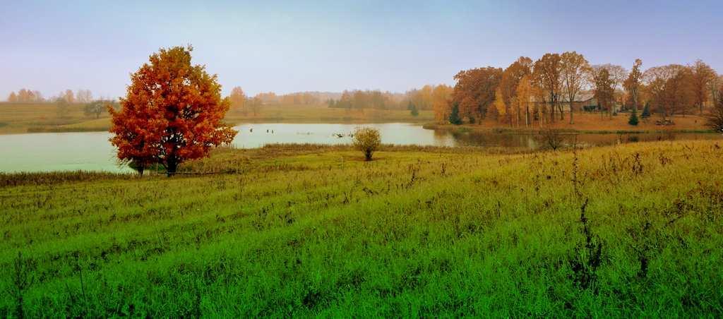 W planie inwestycyjnym mamy do dyspozycji kilkanaście kompleksów, które zawierają po kilkadziesiąt działek na sprzedaż.