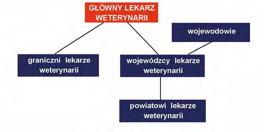 Pa eczki Salmonella wykryto w 1 565 badanych próbkach, co stanowi 51 % przebadanych próbek.