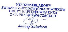 Wiceminister zaznaczył, że niemożliwe jest posiadanie tak dużych zapasów w magazynach, aby szybko wymienić słupy i pociągnąć nowe przewody. "Usuwanie niektórych awarii musi po prostu trwać.