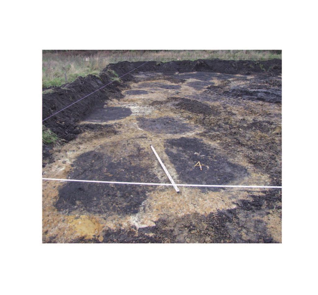 Ryc. 3. Kunowo, stan. 12. Obiekty archeologiczne w trakcie oczyszczania w wykopie budowlanym (fot. A.B.