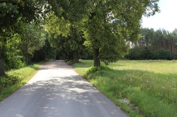 PODSUMOWANIE KADENCJI SAMORZĄDU modernizację ulicy Podgórnej w Czarżu, modernizację ulicy Targowej w Dąbrowie Chełmińskiej, przebudowa ulicy Długiej w Wałdowie Królewskim wraz z budową chodnika i