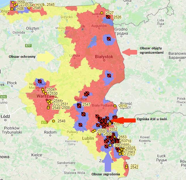 nie wcześniej niż 24 godziny przed przemieszczeniem świnie muszą zostać zbadane przez lekarza weterynarii. Mapa 1.