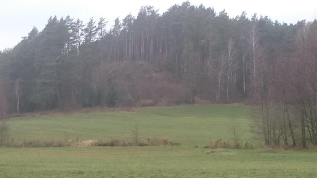 w załączeniu płyta CD ze zdjęciami map widok na kopiec z