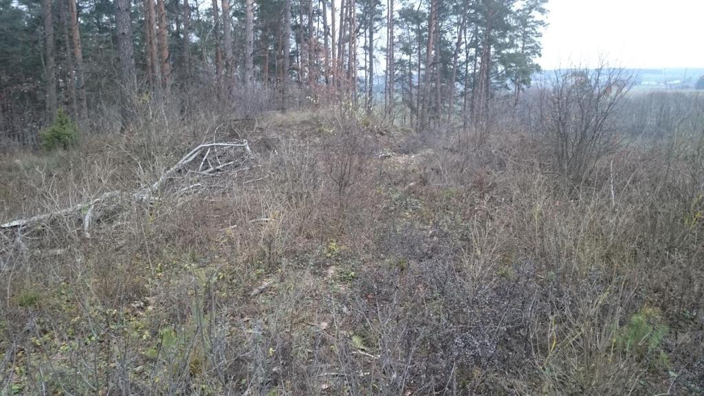 treści Wczoraj dostałem odpowiedź z WUOZ w B-stoku del w Łomży sygn. Ł.5141.3.2018.MK, o "Obiekt znajdujący się w pobliżu Olszewo Góra z dużym prawdopodobieństwem grodzisko.