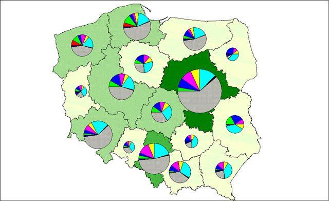 Możliwości absorpcyjne województwa Potencjał województwa: gospodarczy - 5,6% PKB kraju ludnościowy - 5,8% ludności kraju dotychczasowy