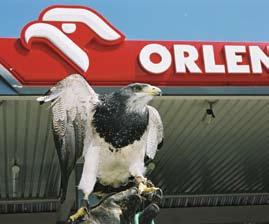 Spółka ORLEN Deutschland AG odnotowała na koniec grudnia 2005 roku stratę w wysokości -25 407 tys. euro. Strata ta wynika m.in. z utworzenia rezerw i odpisów aktualizacyjnych (w wysokości 38 795 tys.