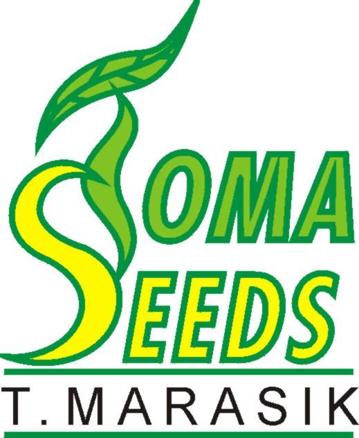 Adres : TOMA SEEDS, Tomasz Marasik Długa 26, 32-061 Rybna, e-mail: t.marasik@marasik.com.pl Tel/Fax + 48 ( 0 ) 12 280 43 66, Mobil + 48 ( 0 ) 605 41 88 66, www.marasik.com.pl Nip: 944 105 38-69, Bank: BGŻ BNP Paribas o Kraków nr.