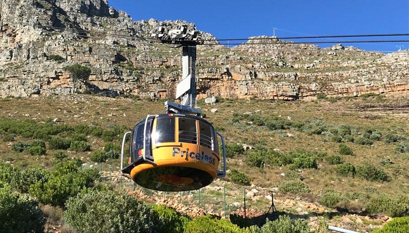 DZIEN 7 GÓRA STOŁOWA WJAZD NA GÓRĘ STOŁOWĄ - WIDOKOWY LOT HELIKOPTEREM NAD KAPSZTADEM* OGRÓD KIRSTENBOSCH Rano śniadanie. Dziś kolejny aktywny dzień, który zaczniemy u podnóża Góry Stołowej.