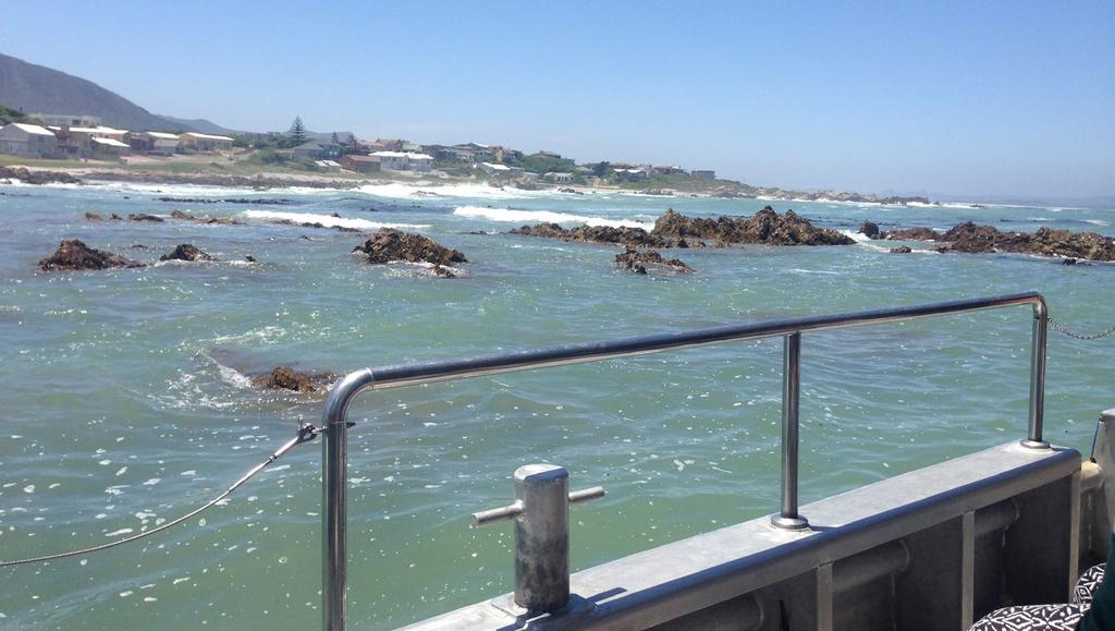 DZIEN 4 GANSBAAI OCEAN SAFARI LUB NURKOWANIE Z ŻARŁACZEM BIAŁYM WIELKA PIĄTKA OCEANU, SPOTKANIE Z GEPARDAMI Jemy lekkie śniadanie, aby spokojnie wypłynąć na ocean.