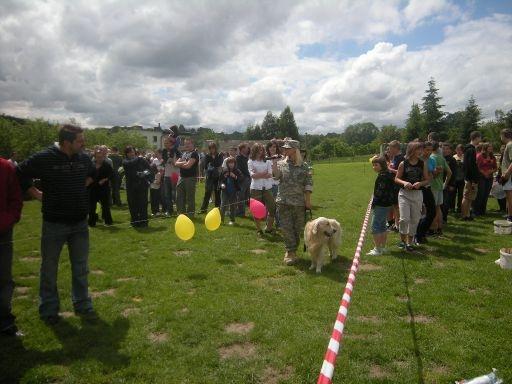 przeciąganie liny.