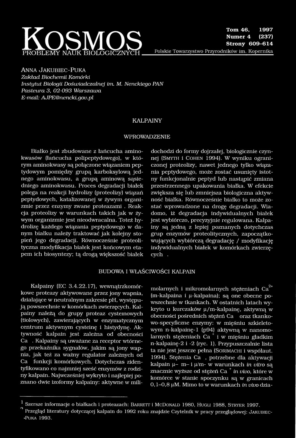 pl KALPAINY WPROWADZENIE Białko jest zbudowane z łańcucha aminokwasów (łańcucha polipeptydowego), w którym aminokwasy są połączone wiązaniem peptydowym pomiędzy grupą karboksylową jed nego