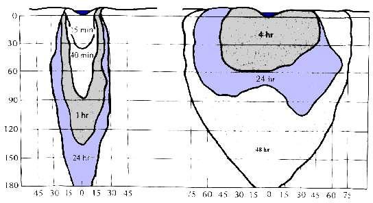 SKŁAD GRANULOMETRYCZNY GLEB Skład granulometryczny gleby wskazuje też na to, jak, w jakich kierunkach i w jakim tempie przemieszczają się (lub będą przemieszczać się) w