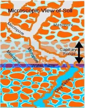 FAZA CIEKŁA GLEBY Woda molekularna - pochodzi z adhezji cząsteczek wody na cząstkach glebowych, decydują o niej siły van der Waalsa i hydratacja kationów wymiennych kompleksu sorpcyjnego; zależy od