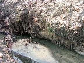 Woda w glebie podlega działaniu różnych sił: elektrostatycznych od ładunków elektrycznych na powierzchni cząstek gleby; decydują o