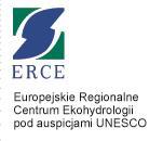 2015/19/B/ST10/02167: Zastosowanie sztucznych sieci neuronowych