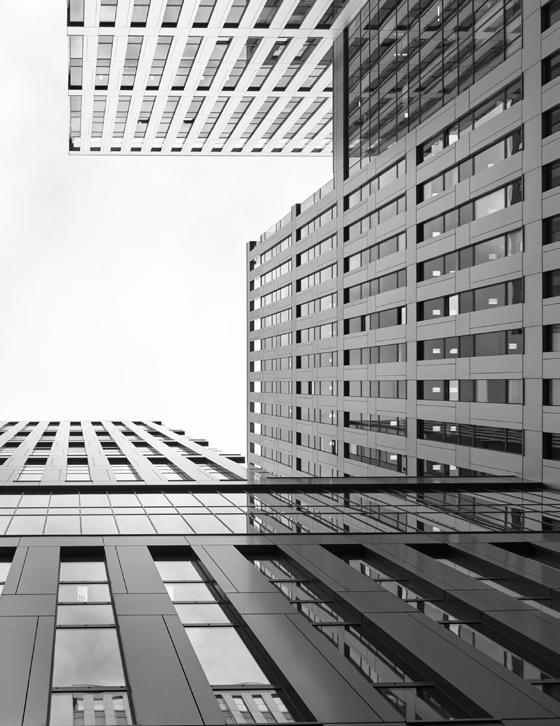 wykształceniem specjaliści w dziedzinie: finansów, HR, IT, prawa, łańcucha dostaw, marketingu itp.