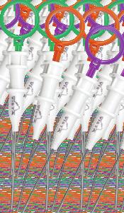 EMTA Endostar ENDOrepair MTA Fiolka 1 g NAK ADACZE DO MTA JEDNORAZOWE DOZOWANIE > Aplikacja MTA