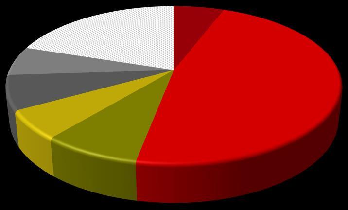 Andrzej Dadełło (łącznie) 6 362 700 636 270,00 53,02% 6 362 700 53,02% Andrzej Dadełło bezpośrednio 700 000 70 000,00 6,67% 700 000 5,83% DSA Financial Group SA 5 662 700 566 277,00 47,19% 5 662 700