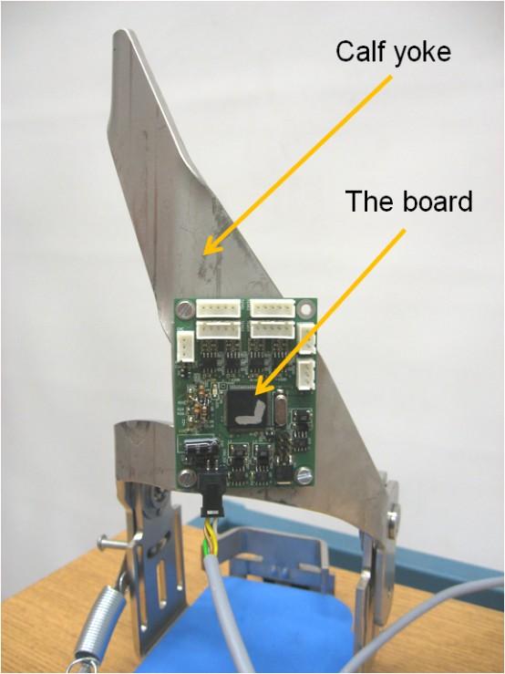 joint angular displacement Measurement of