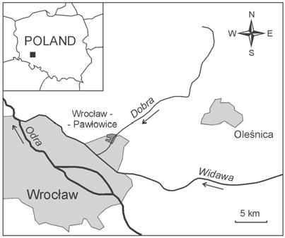 Pierwiastki œladowe w glebach ró nych zbiorowisk leœnych.