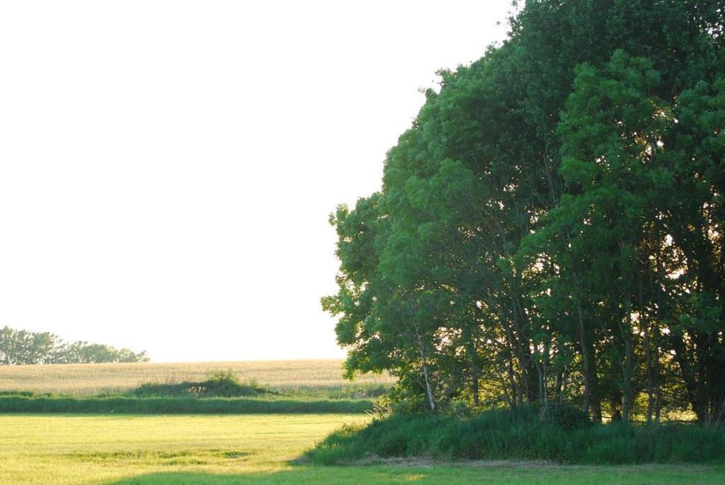 Warunki umorzenia Terminowa zakończenie przedsięwzięcia, Osiągnięcie planowanych efektów, tj.