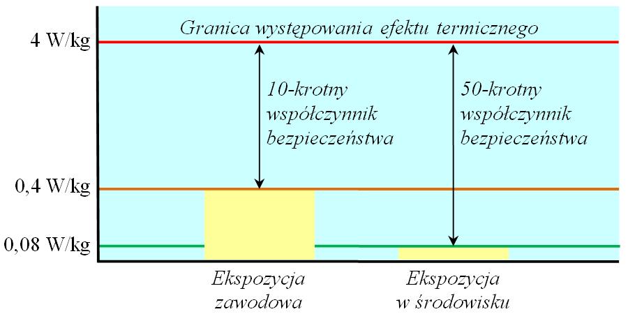 Ochrona przed PEM Ograniczenia podstawowe (efekt termiczny)