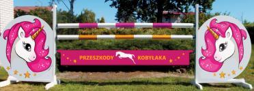 Termin zawodów - 16-17 marca 2019 3.