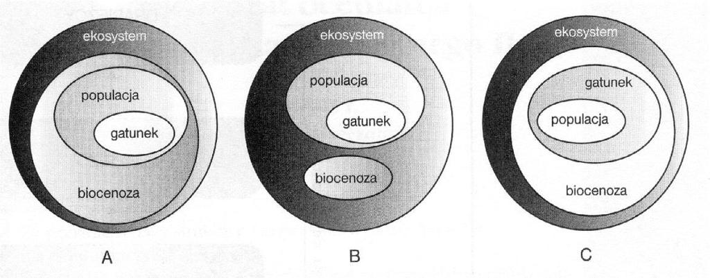 Znakiem X zaznacz cztery pytania, na które odpowiada ekologia. A. Od czego zależy budowa organizmów? B. Dlaczego jedne gatunki występują razem, a inne nie tolerują swojego sąsiedztwa? C.