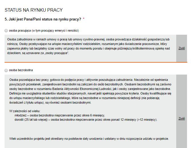 Poniżej widok rubryk formularza po rozwinięciu opcji