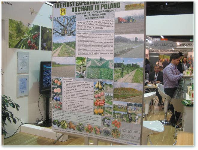 Zespółredakcyjny Promocja projektu EkoTechProdukt na Międzynarodowych Targach Ekologicznych BioFach w Norymberdze (18-20 lutego 2010 r.).