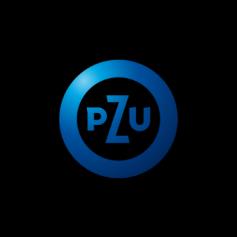 obowiązuje od 2019-03-13 REGULAMIN PROGRAMU PZU GO CEL PROGRAMU PZU GO 1 1.